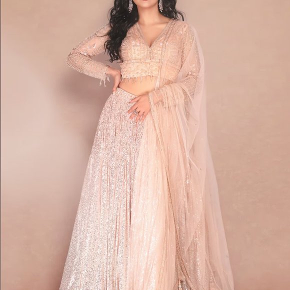 Peach And Silver Ombre Lehenga Embellished In Sequins And Hand Embroidered Choli - Picture 4 of 6